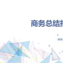 商务.总结类总结-66