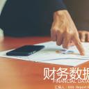 商务.财务模板27