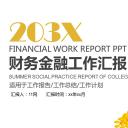 商务.财务模板41