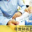 商务.财务模板42