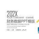 商务.财务模板43