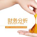 商务.财务模板5
