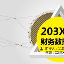 商务.财务模板84