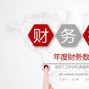 商务.财务模板99