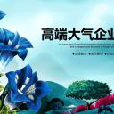 商务.企业简介2公司简介企业展示宣传 46