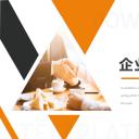 商务.企业简介3公司简介企业展示宣传 70