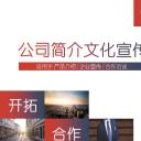 商务.企业简介4公司简介企业展示宣传 118