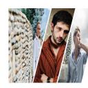 商务.企业简介5101