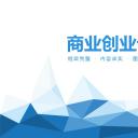 商务.创业融资者创业融资策划 118