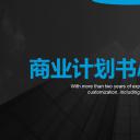 商务.创业融资者创业融资策划 13