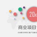 商务.商业计划书1【商业计划书】20