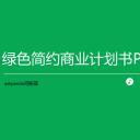 商务.商业计划书1【商业计划书】29