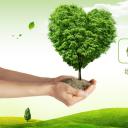 商务.自然、环保节能精品绿色环保环境保护PPT模板——图文