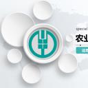 商务.银行金融微立体中国农业银行工作总结汇报述职模板