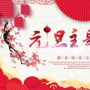 商务.元旦快乐PPT模板17