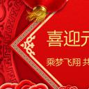 商务.元旦快乐PPT模板11