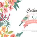 商务.图文A描述里展示【】001粉色复古鸟模板[2010版使用]