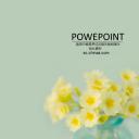 商务.图文唯美梦幻花朵ppt4035