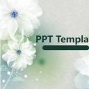 商务.图文梦幻背景花535f76293d298