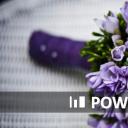 商务.图文B动态【】图文W006文艺唯美动态模版