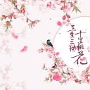 商务.桃花系列10