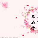 商务.桃花系列12