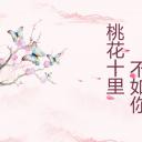 商务.桃花系列40