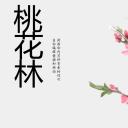 商务.桃花系列43