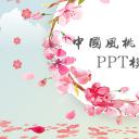 商务.桃花系列46