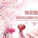 商务.桃花系列47