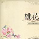 商务.桃花系列48