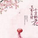 商务.桃花系列64