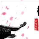 商务.桃花系列66