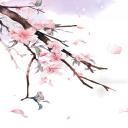 商务.桃花系列70