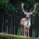 商务.PPT源文件1