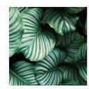 商务.PPT源文件12