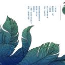 商务.PPT源文件21