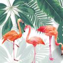 商务.PPT源文件3