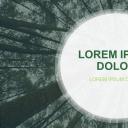 商务.PPT源文件45