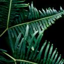 商务.PPT源文件5