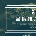 商务.PPT源文件51