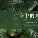 商务.PPT源文件55