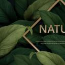 商务.PPT源文件67