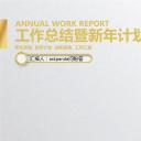 商务.金色PPT模板3