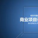 商务.框架完整的商业项目策划——图文