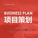 商务.项目策划通用模板——图文