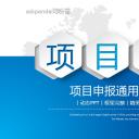商务.项目策划项目申报——图文