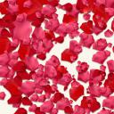 商务.婚庆生活婚礼ppt——图文