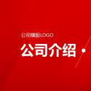 商务.企业宣传产品介绍简洁实用公司介绍PPT模板——图文