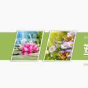 商务.企业管理培训员工心态培训PPT课件